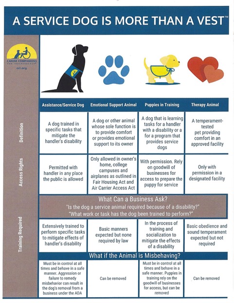 what is the difference between a therapy dog and an emotional support dog