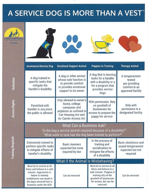 what is the difference between an esa and a service dog