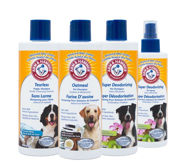 arm and hammer dog shampoo