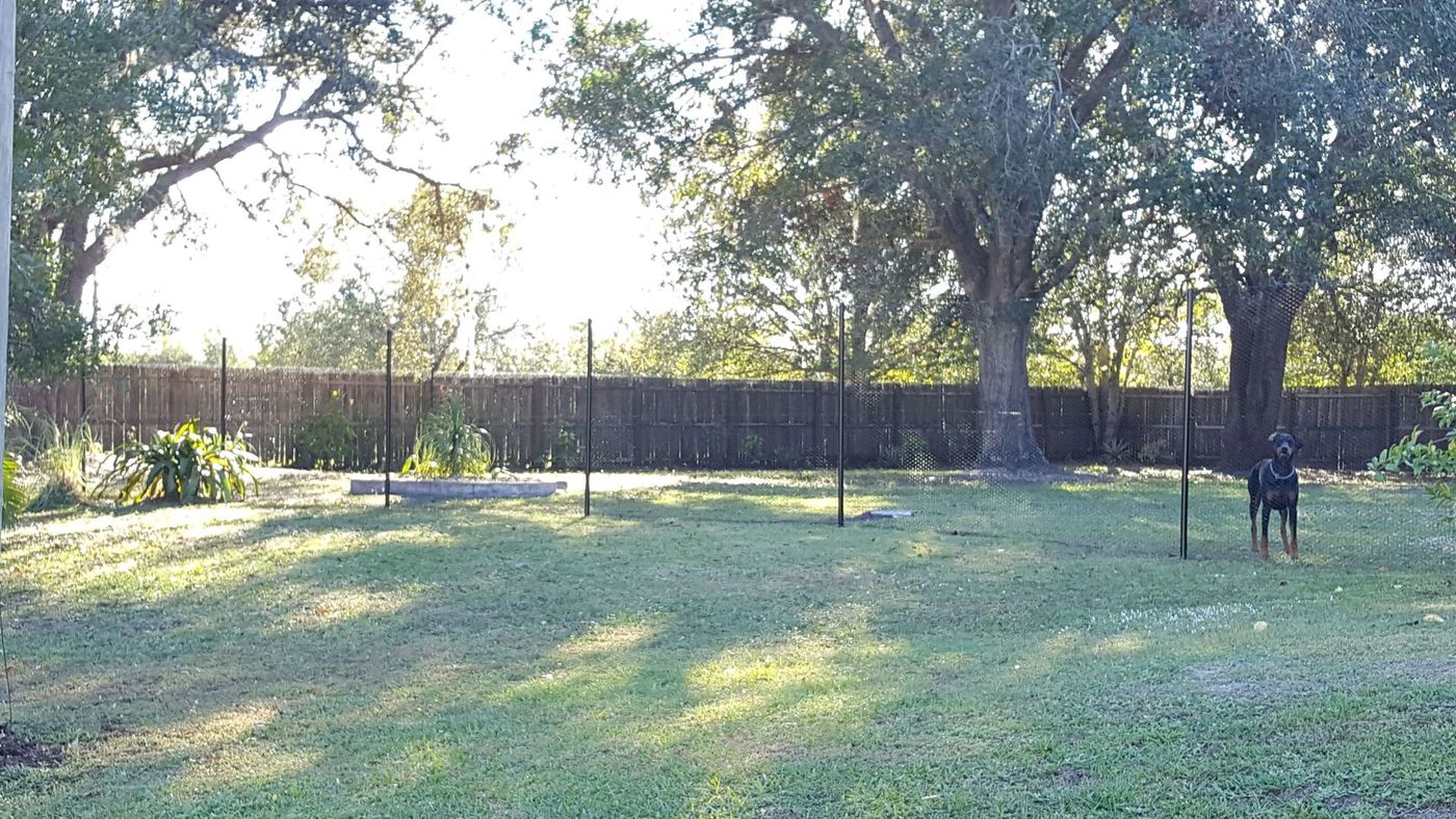 dog fence for backyard